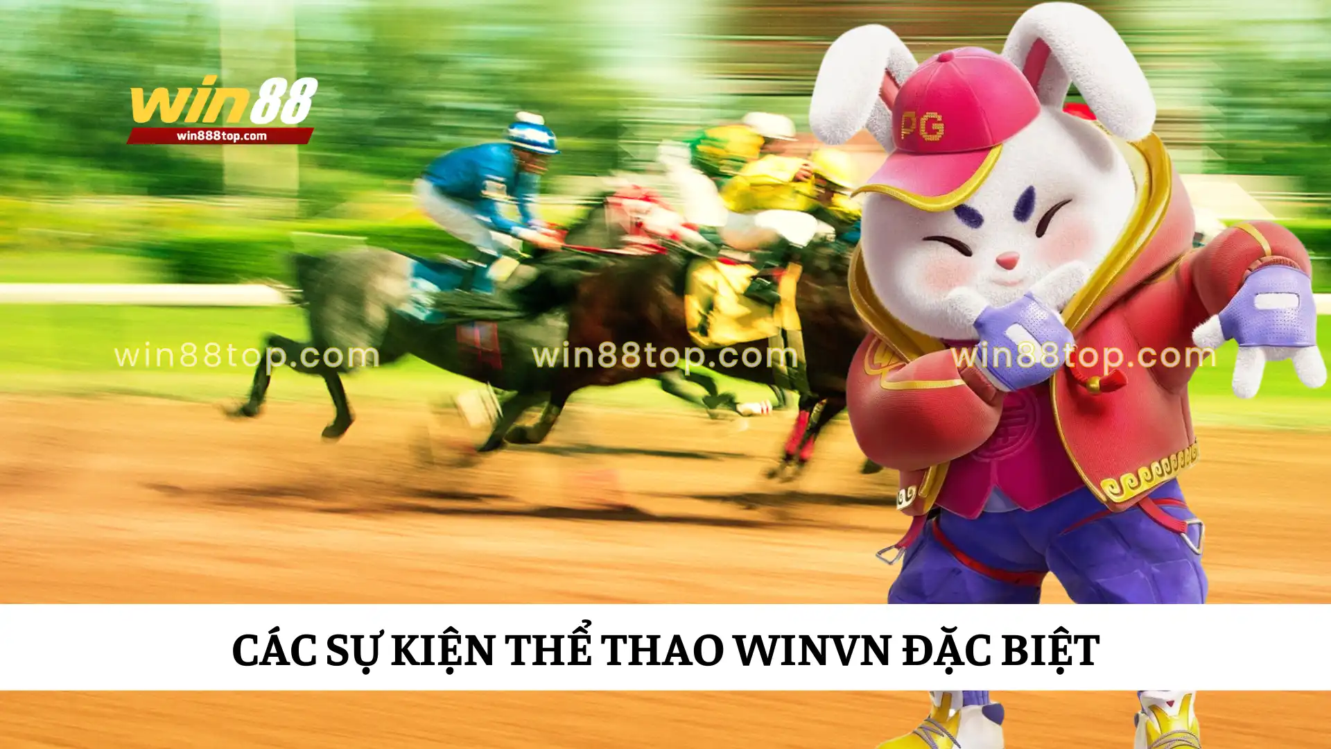 cac-su-kien-the-thao-winvn-dac-biet