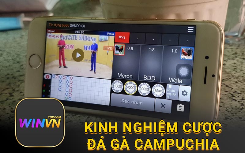 Kinh nghiệm cược đá gà campuchia