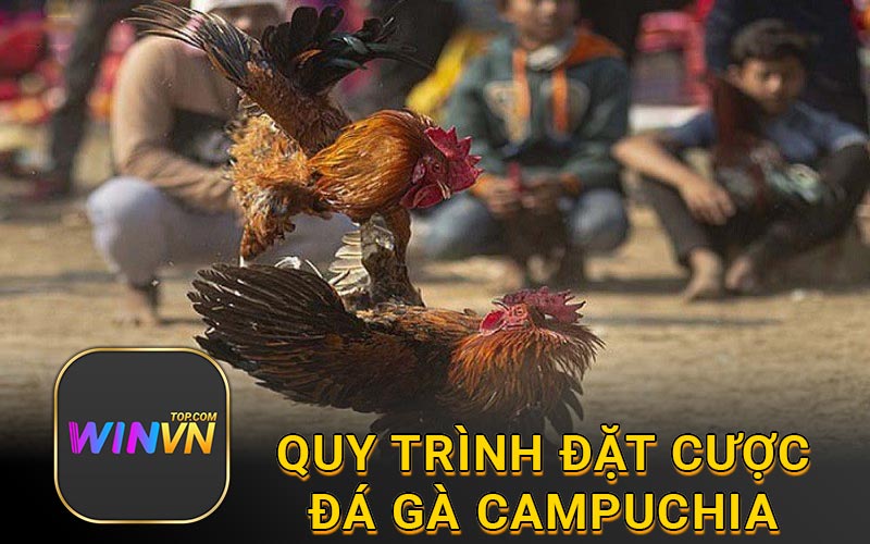 Quy trình đặt cược đá gà campuchia